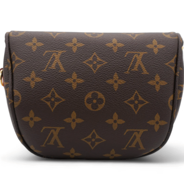 louis vuitton brown monogram canvas mini bumbag
