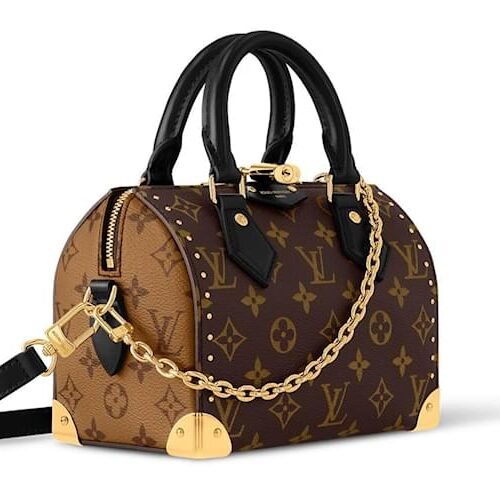 louis vuitton speedy trunk 20