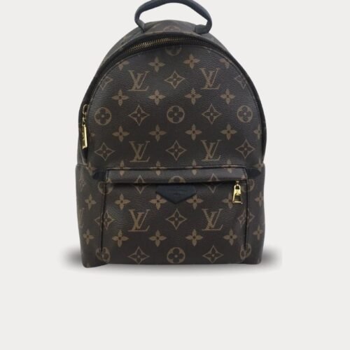 louis vuitton palm springs backpack pm brown