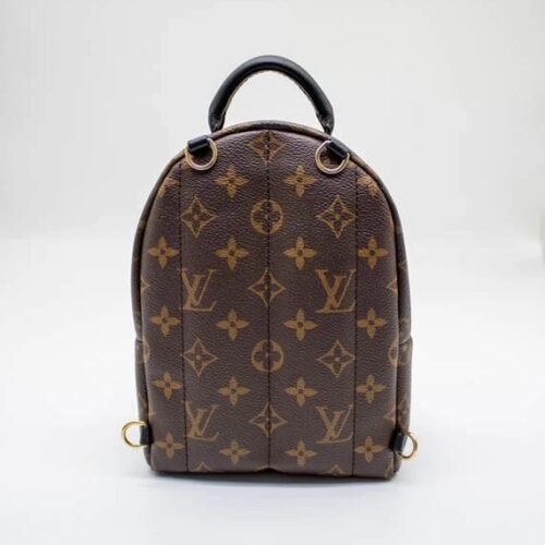 louis vuitton monogram palm springs mini backpack