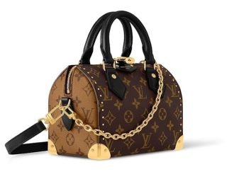 Louis Vuitton Speedy Trunk 20