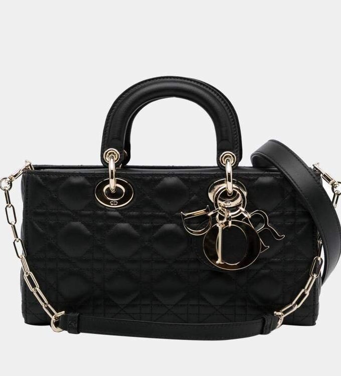 Dior Lady D-Joy Bag – BlackL ML Cannae