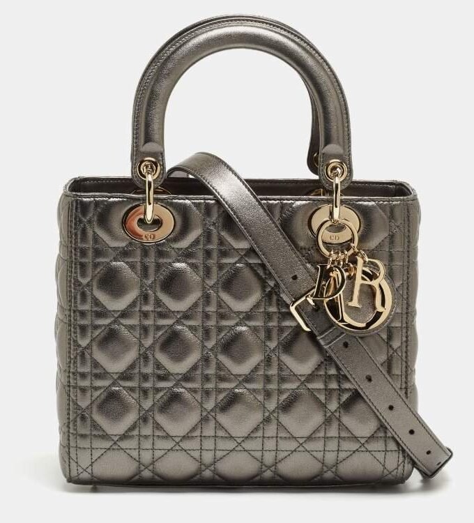 DIOR Metallic Grained Calfskin