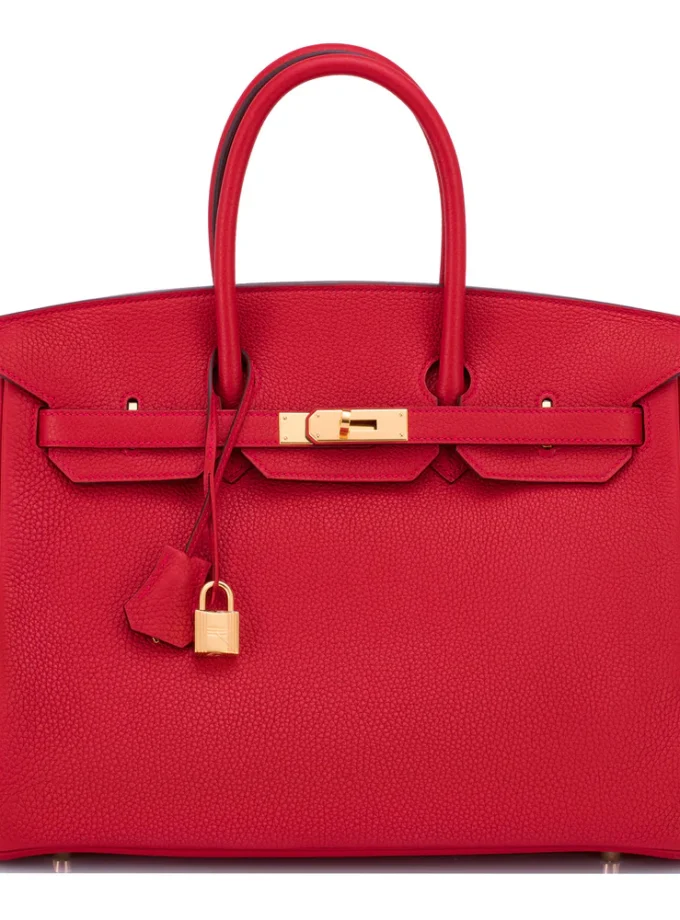 Hermes Birkin Red 25cm